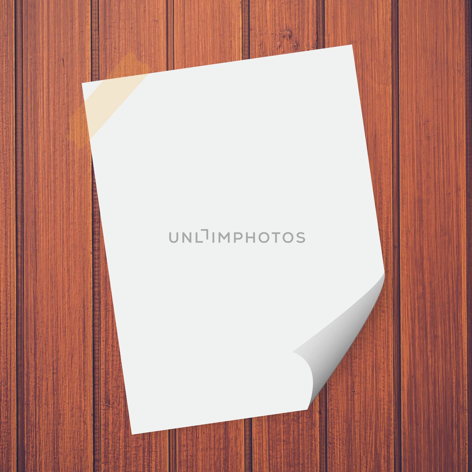 Blank paper on the wood background
