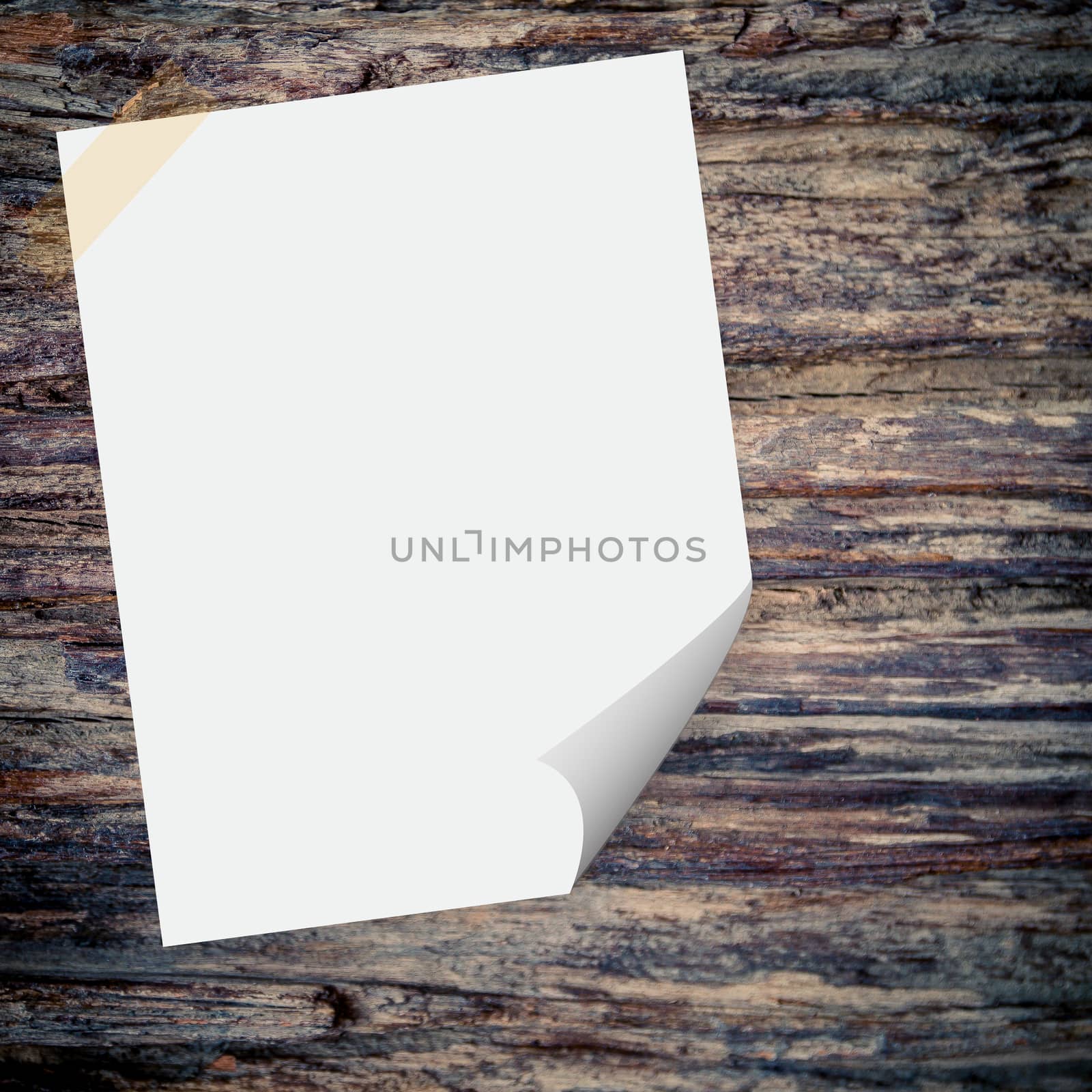 Blank paper on the wood background