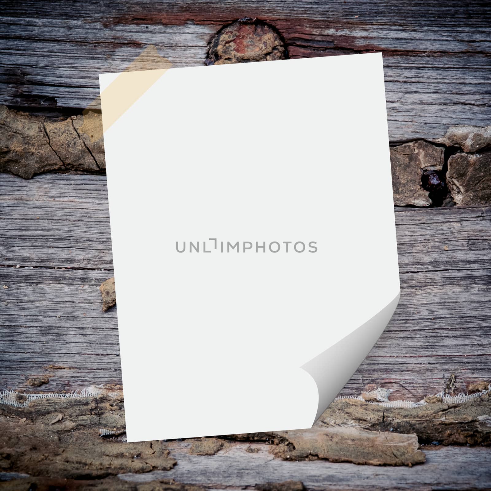 Blank paper on the wood background