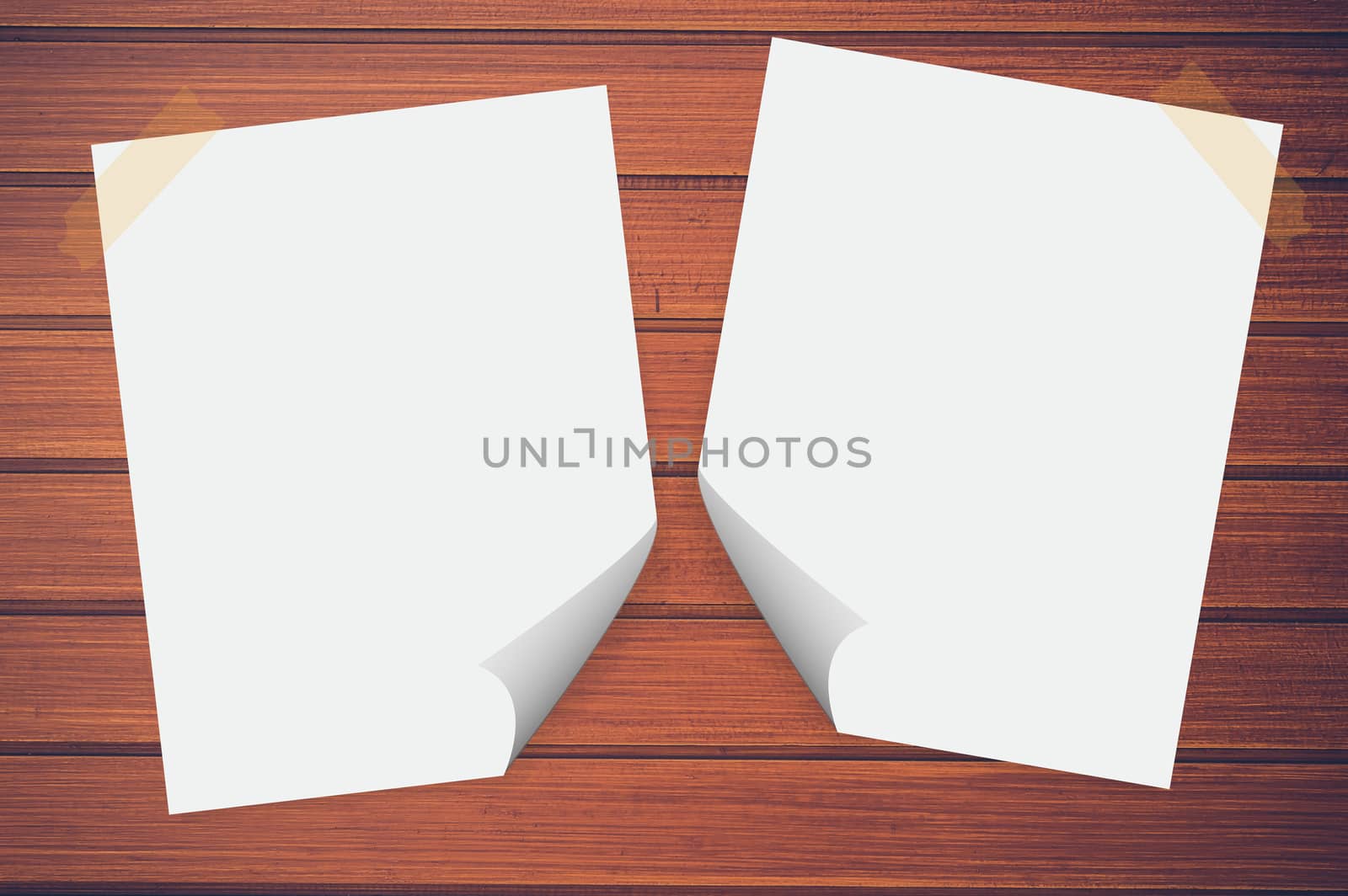 Blank paper on the wood background