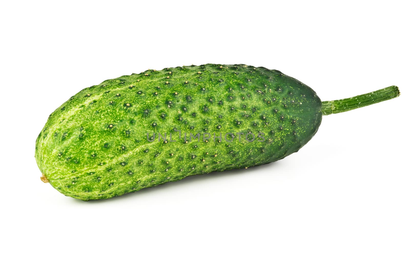 One young whole cucumber on white background