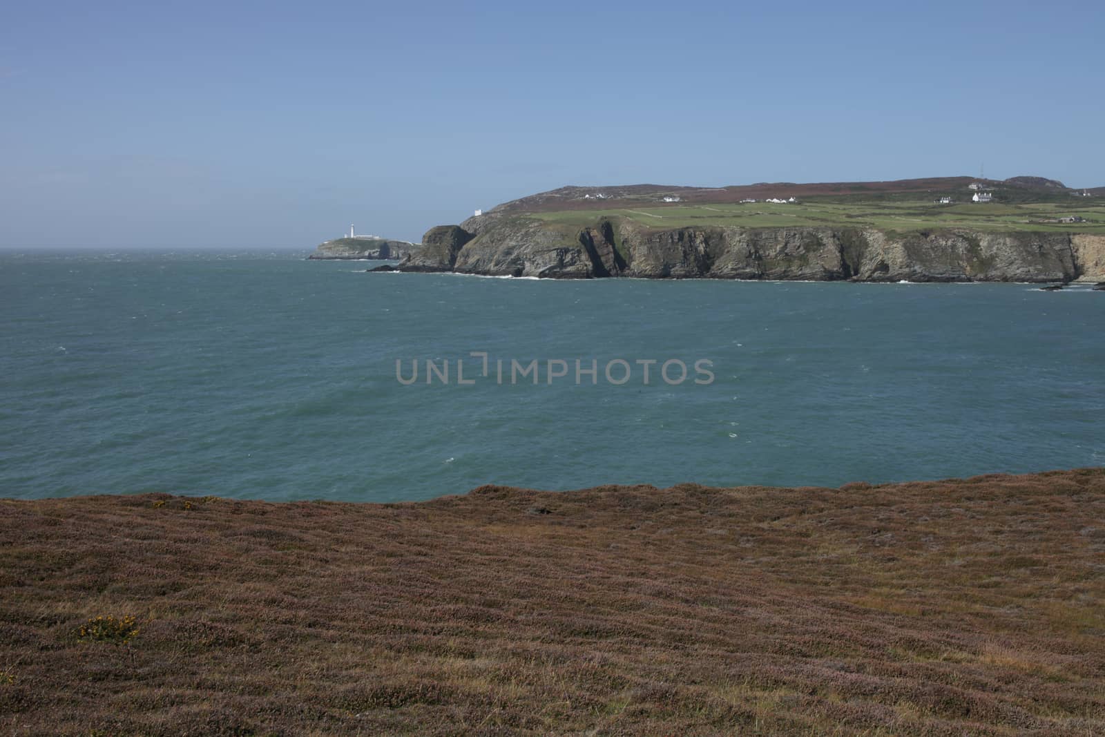 South stack. by richsouthwales