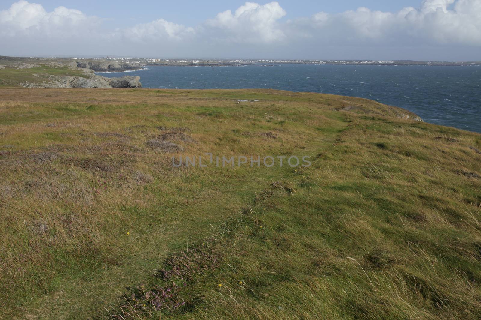 A footpath through clifftop vegetation at Porth Ruffydd looking out towards Trearddur bay in the distance, Wales coast path, The Range, Anglesey, Wales, UK.