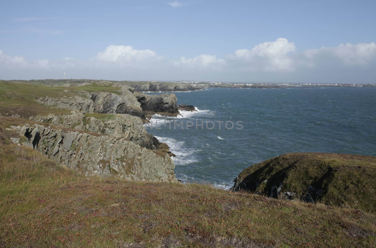 A view from clifftop vegetation at Porth Ruffydd looking past cliffs towards Trearddur bay in the distance, Wales coast path, The Range, Anglesey, Wales, UK.