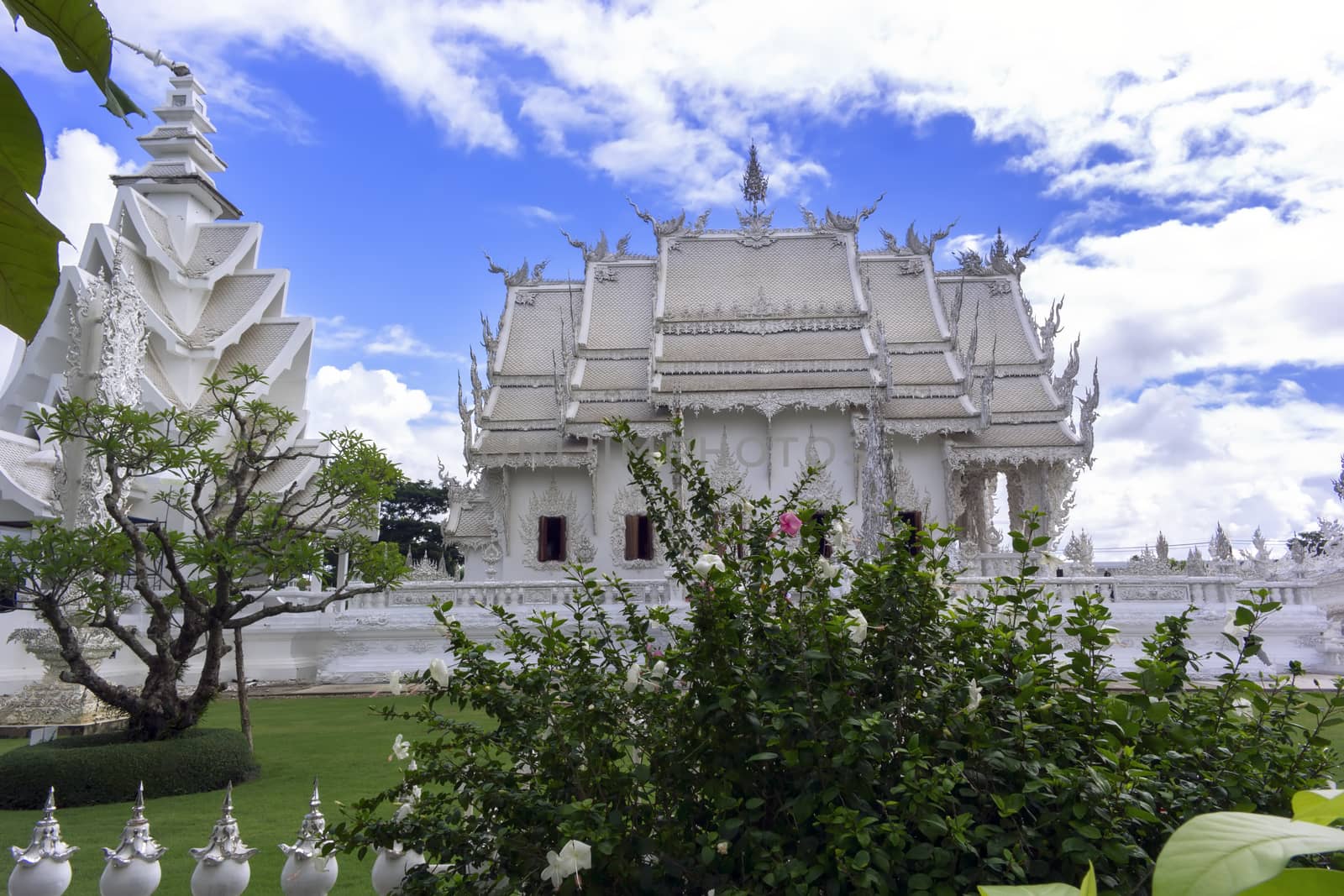 Hibiscus Bush and Wat Rong Khun by GNNick