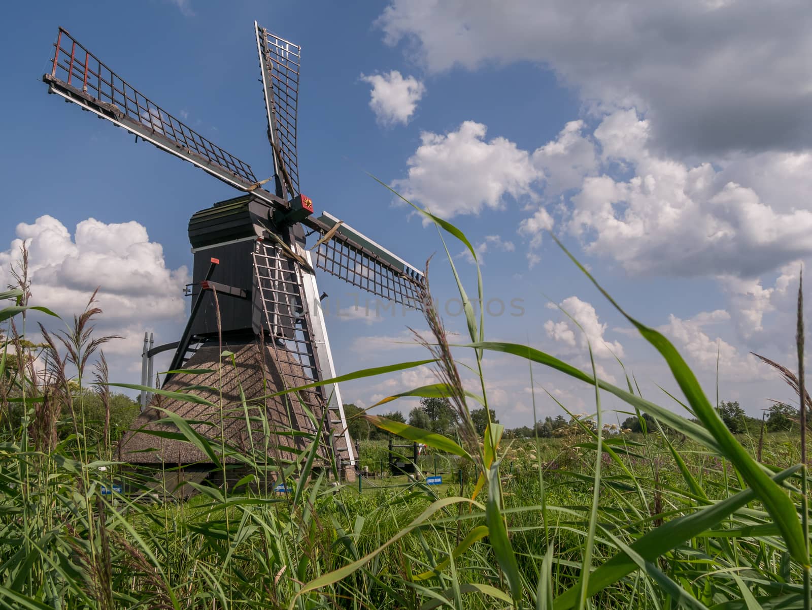 Windmill in Drenthe from low perspective by frankhoekzema