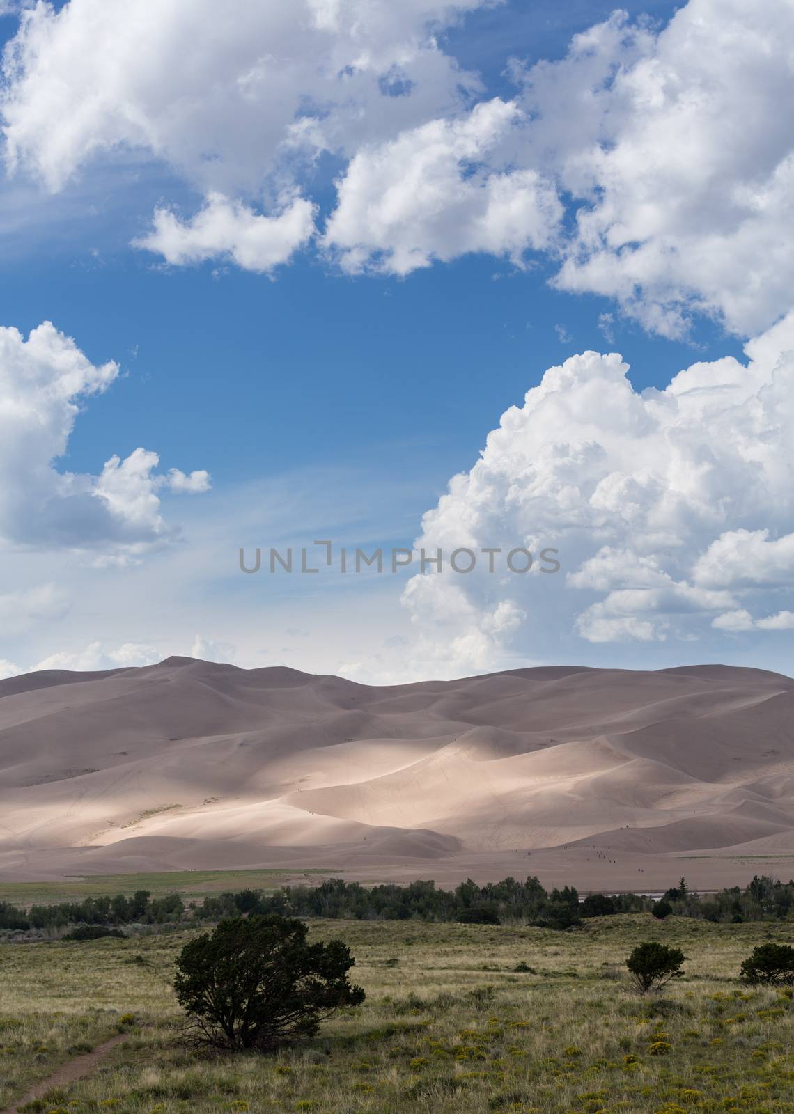 Detailed shot of the shadows on the dunes at Great Sand Dunes National Park in Colorado with the tiny people walking on the sand giving some scale to the dunes