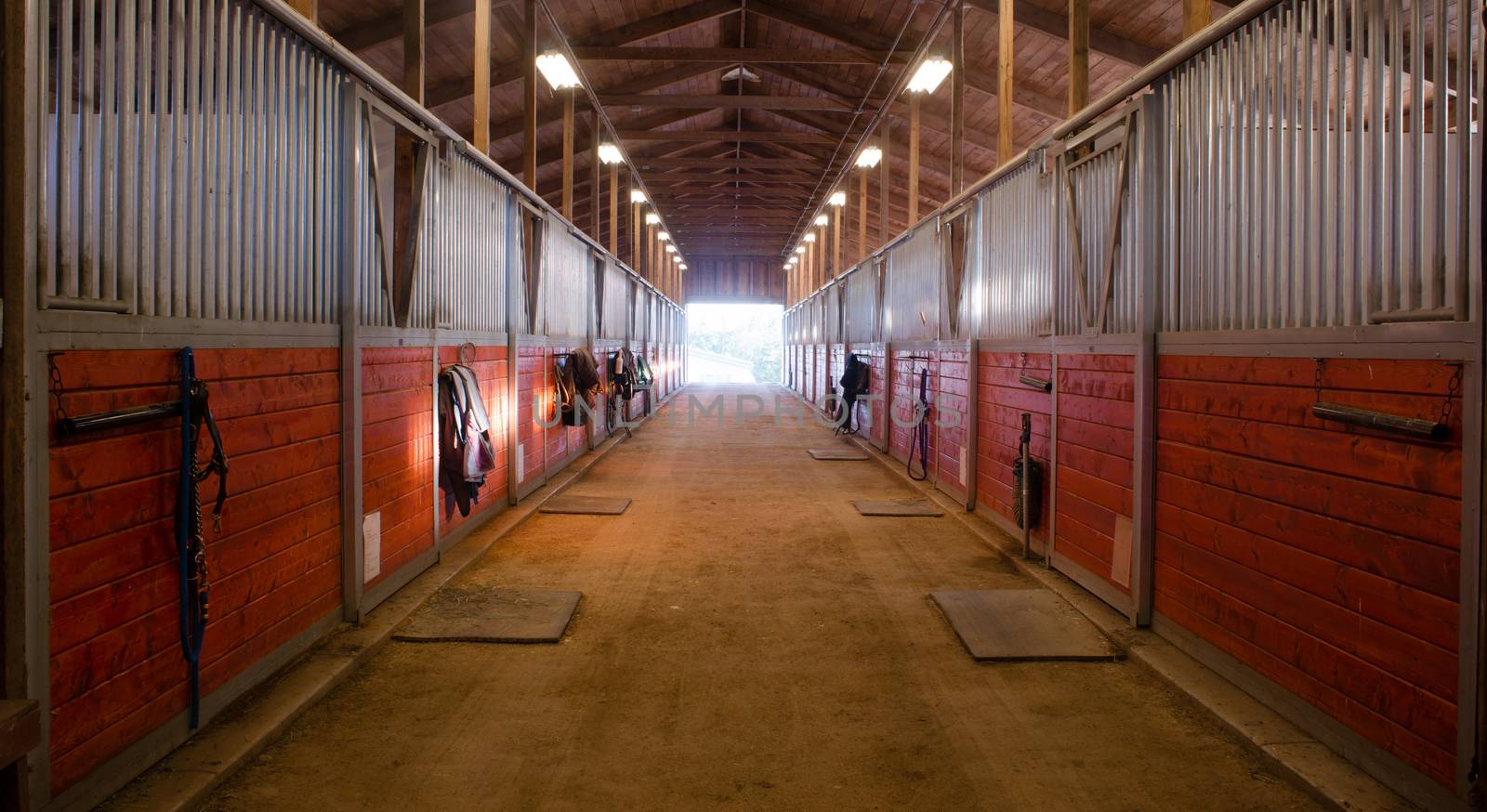 The door shows outside from the horse stalls equestrain stable