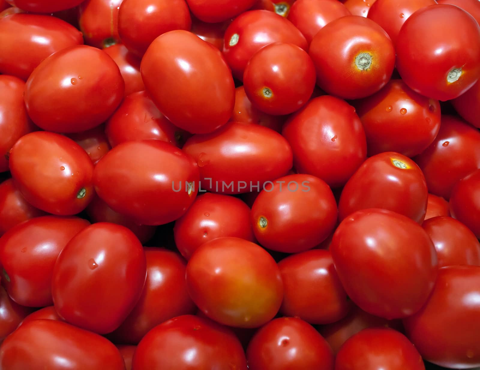 General view of the tomato red oval