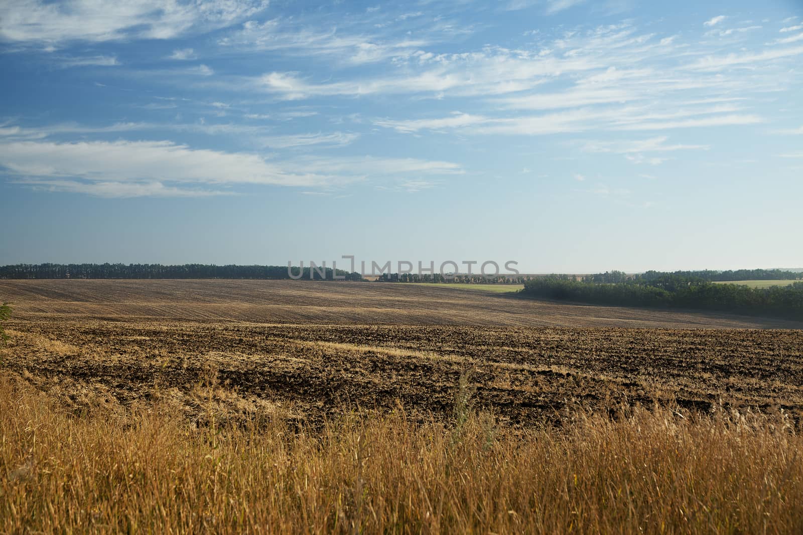 Landscape with cloudy sky, trees and tilled soil