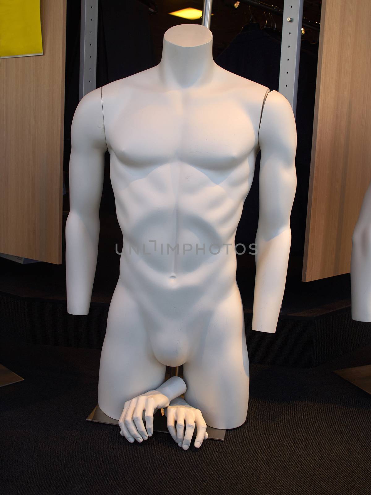 Male man  mannequin, manikin,  lay figure by Ronyzmbow