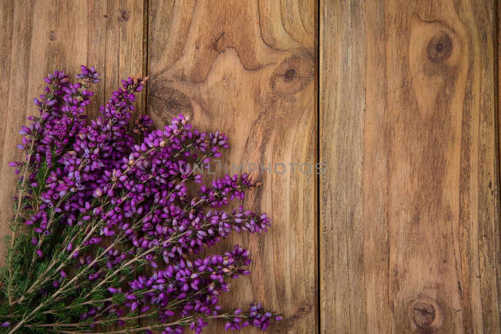Purple and viola heather flowers on wooden table