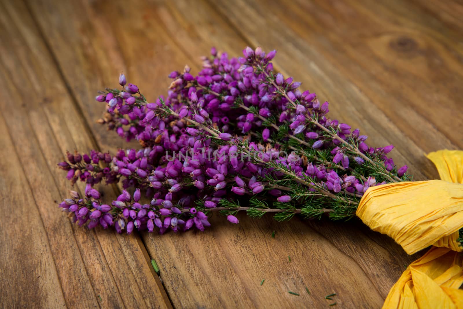 Purple and viola heather flowers on wooden table with yellow ribbon