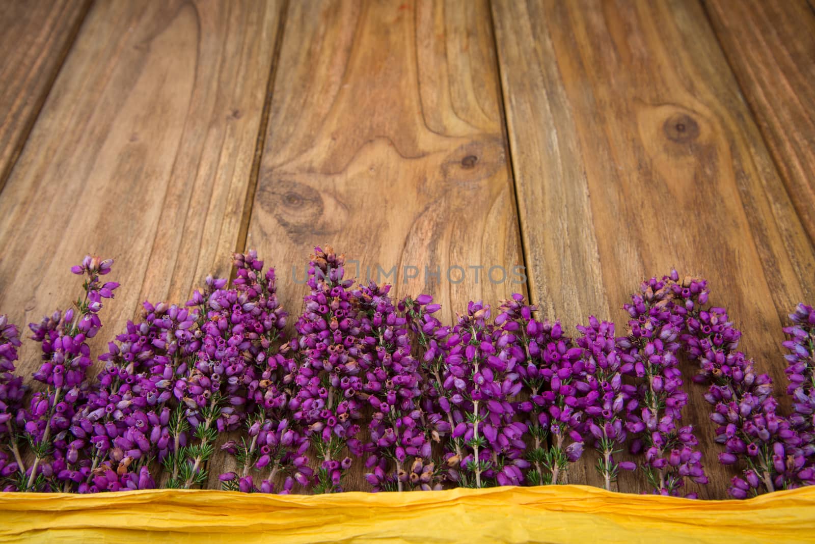 Purple and viola heather flowers on wooden table with yellow ribbon