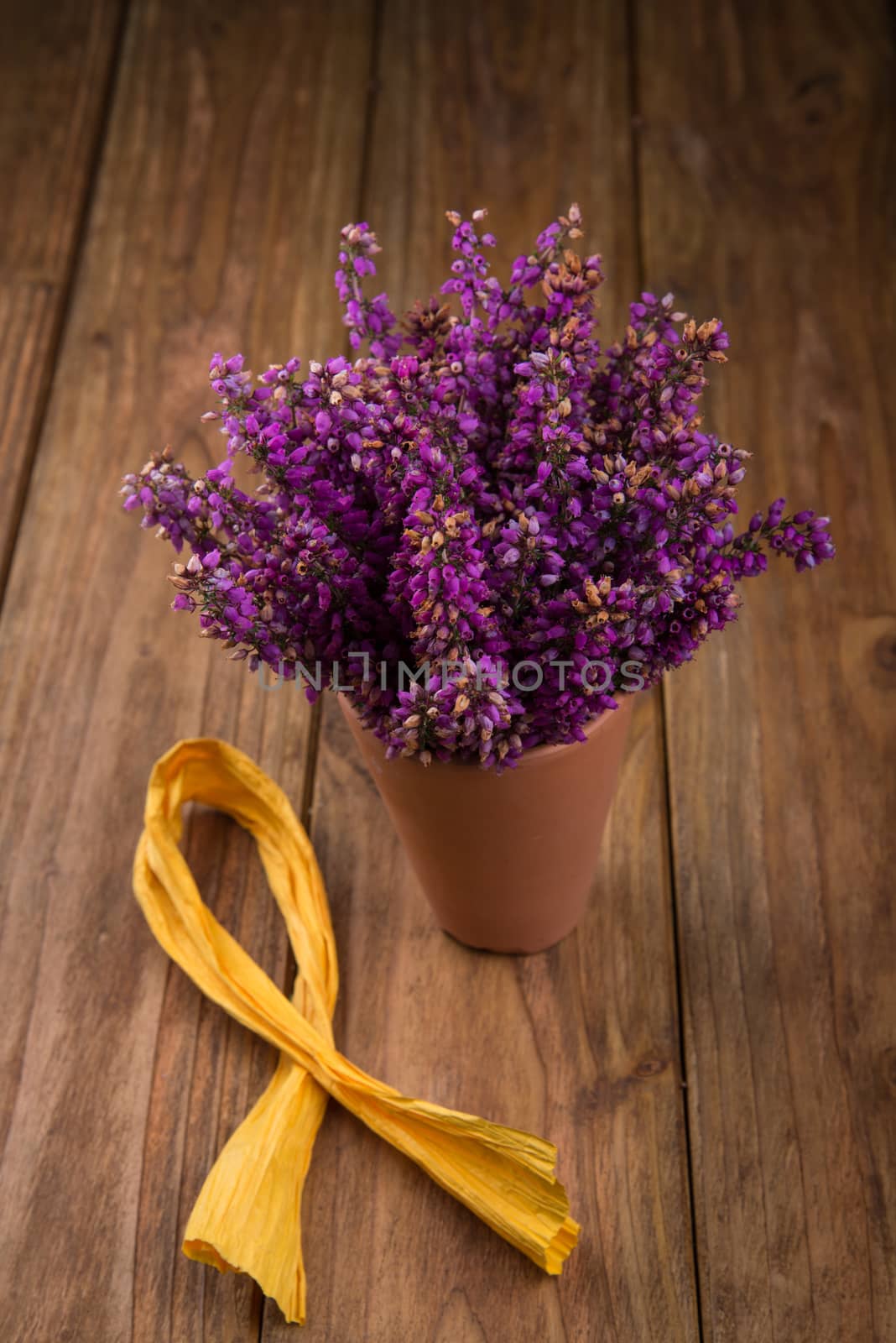 purple and viola heather flowers on wooden table in ceramic pot with yellow ribbon