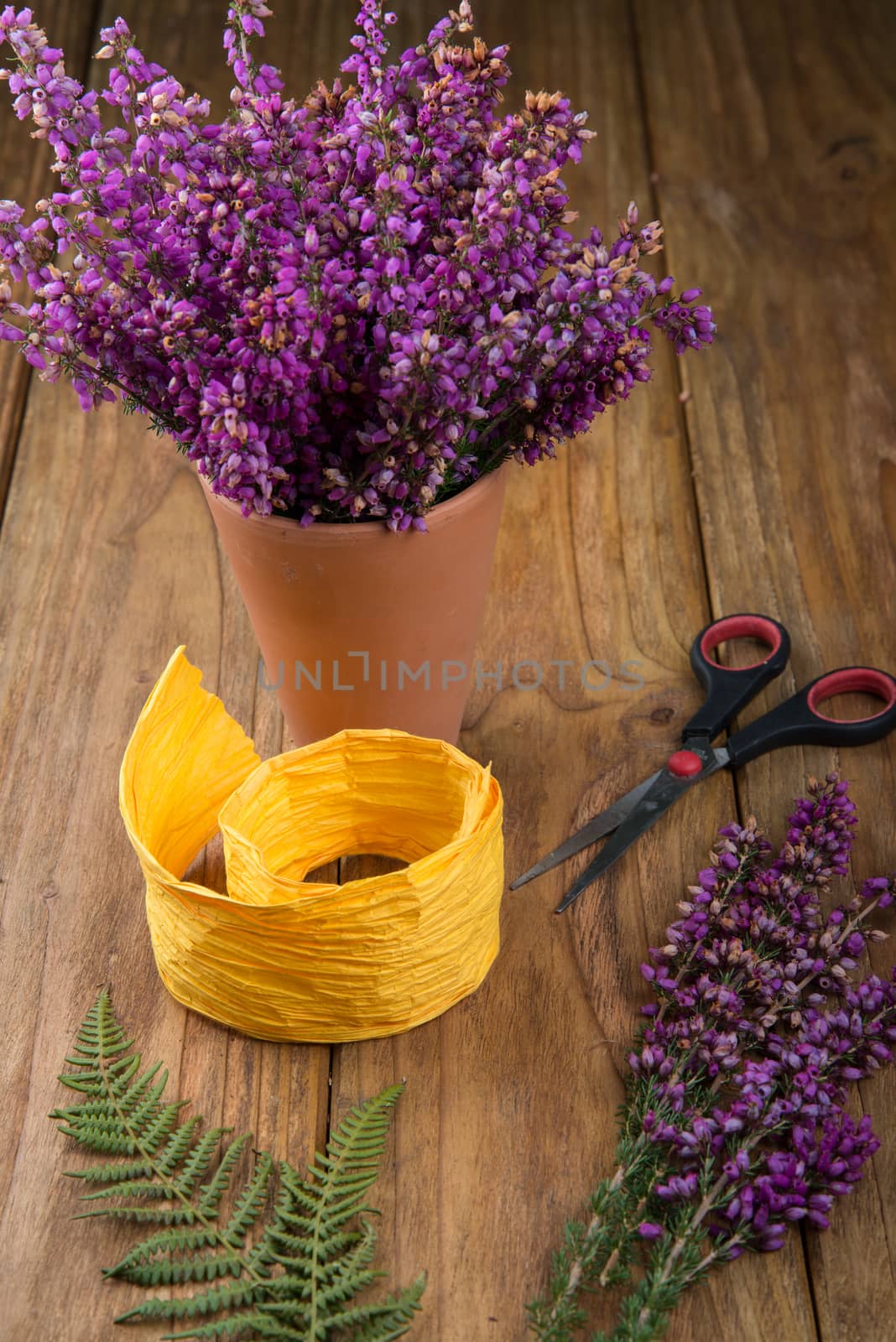 purple and viola heather flowers on wooden table in ceramic pot with yellow ribbonand scissors