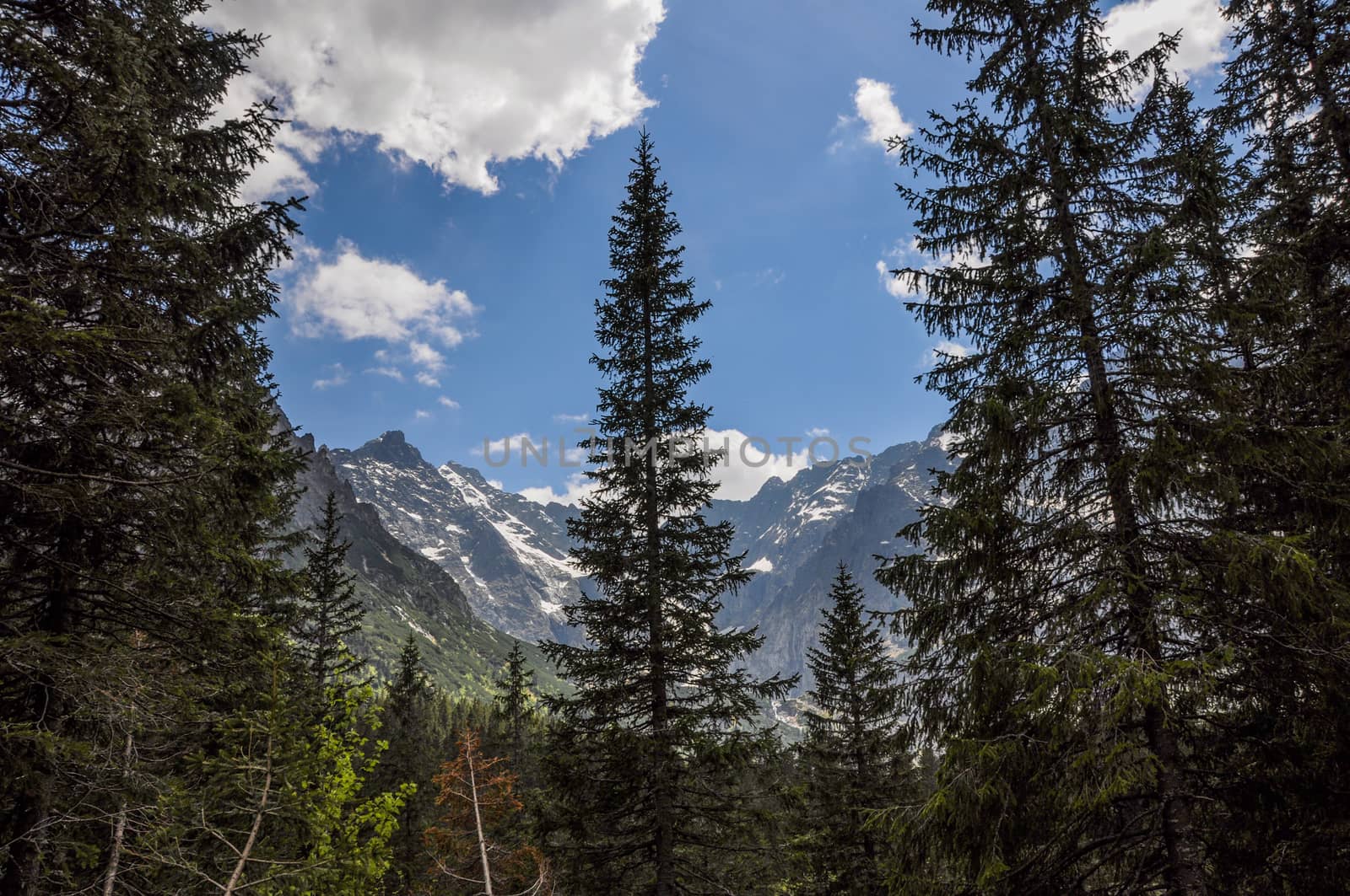 Landscape view over Polish Tatra  high mountains range famous tourist destination in Zakopane, Polish winter centre