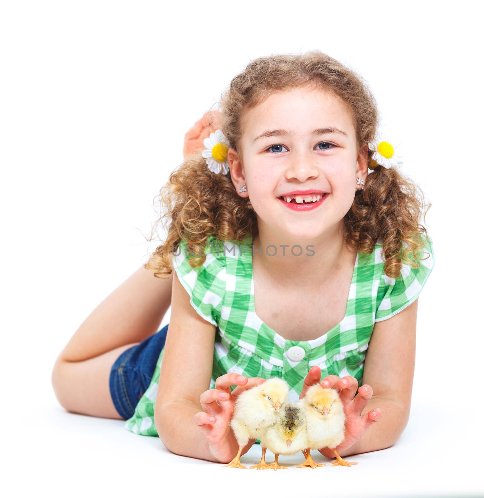 Happy little girl holding baby chickens - isolated white background