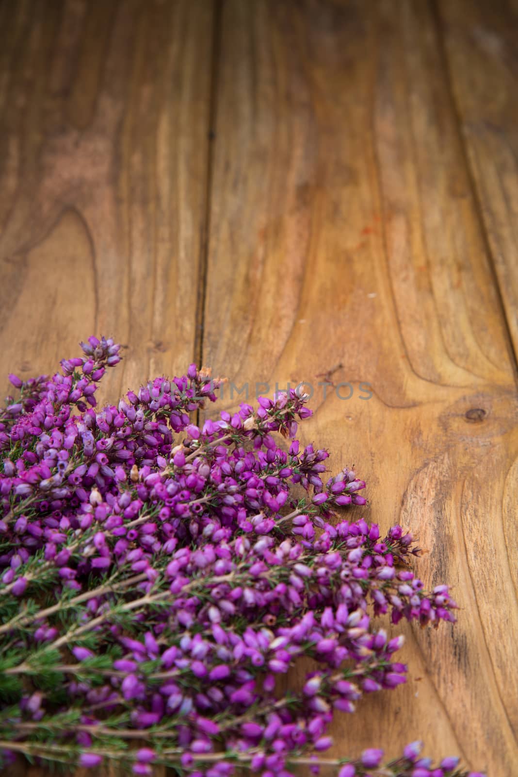purple and viola heather flowers on wooden table