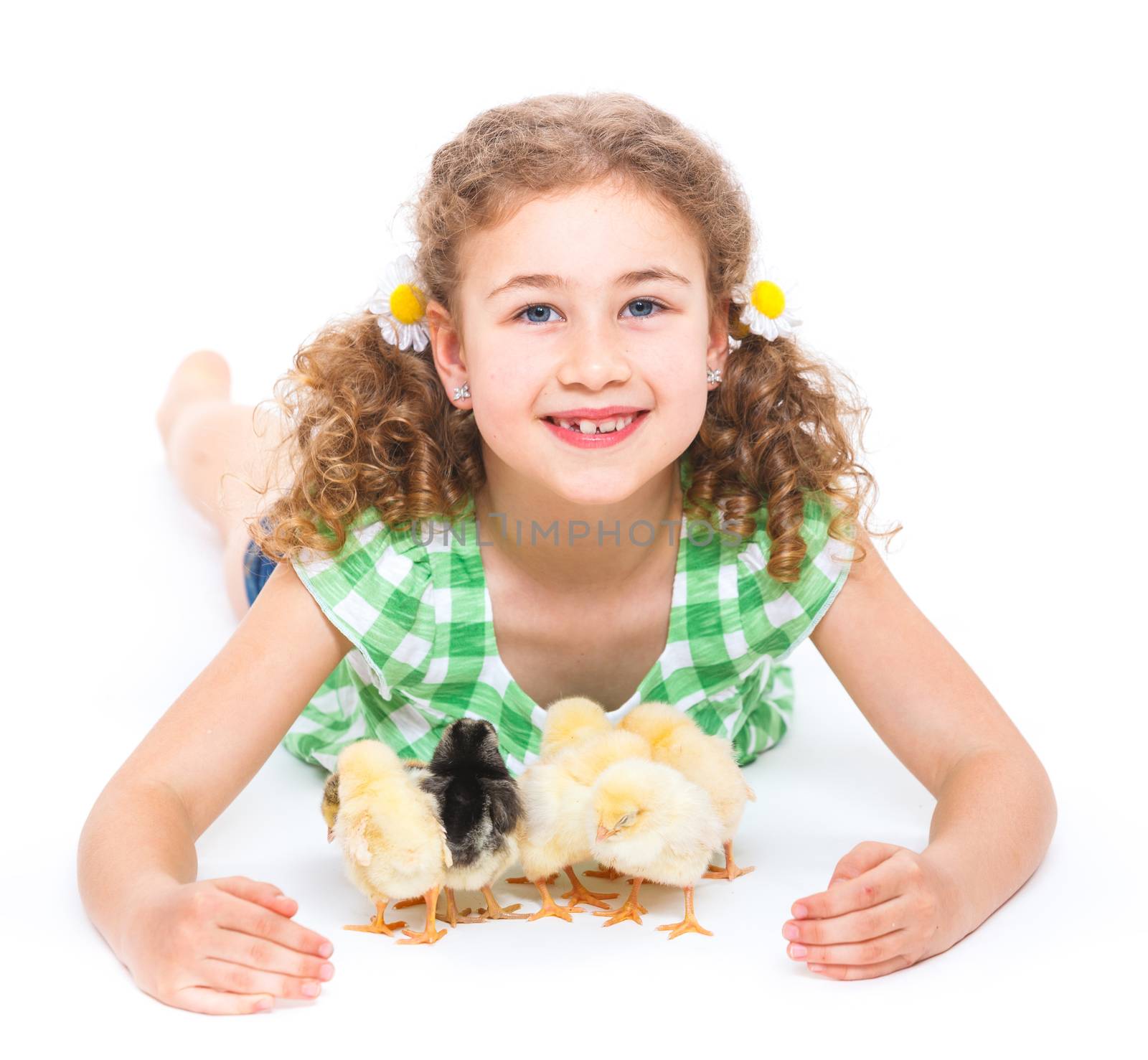 Happy little girl holding baby chickens - isolated white background