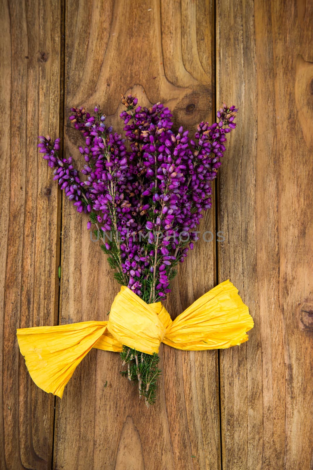 purple and viola heather flowers on wooden table with yellow ribbon