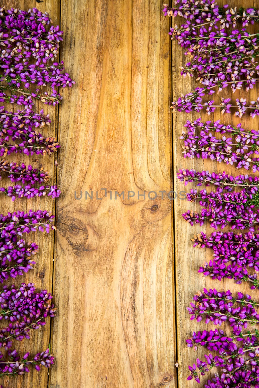 purple and viola heather flowers on wooden table