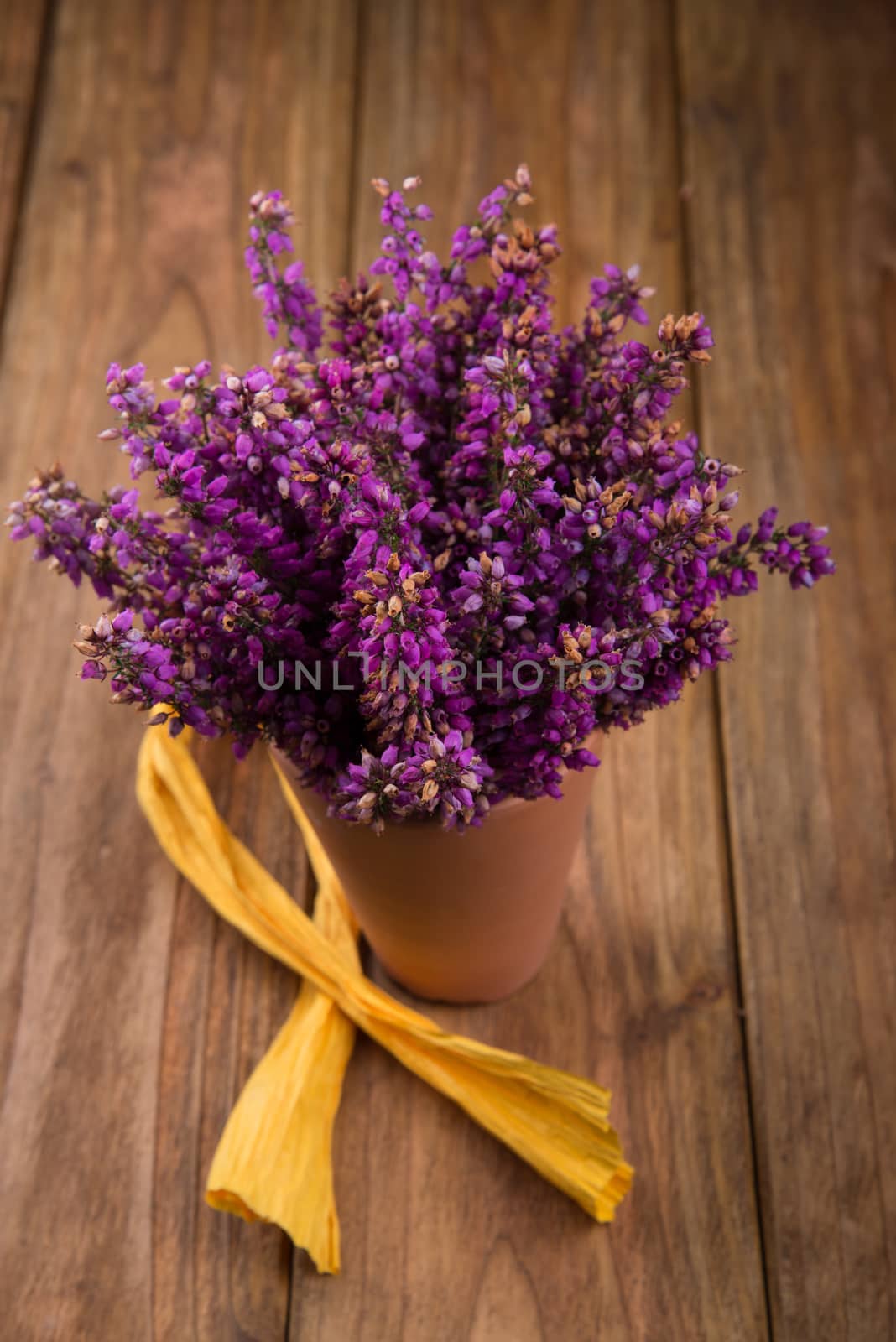 purple and viola heather flowers on wooden table in ceramic pot with yellow ribbon