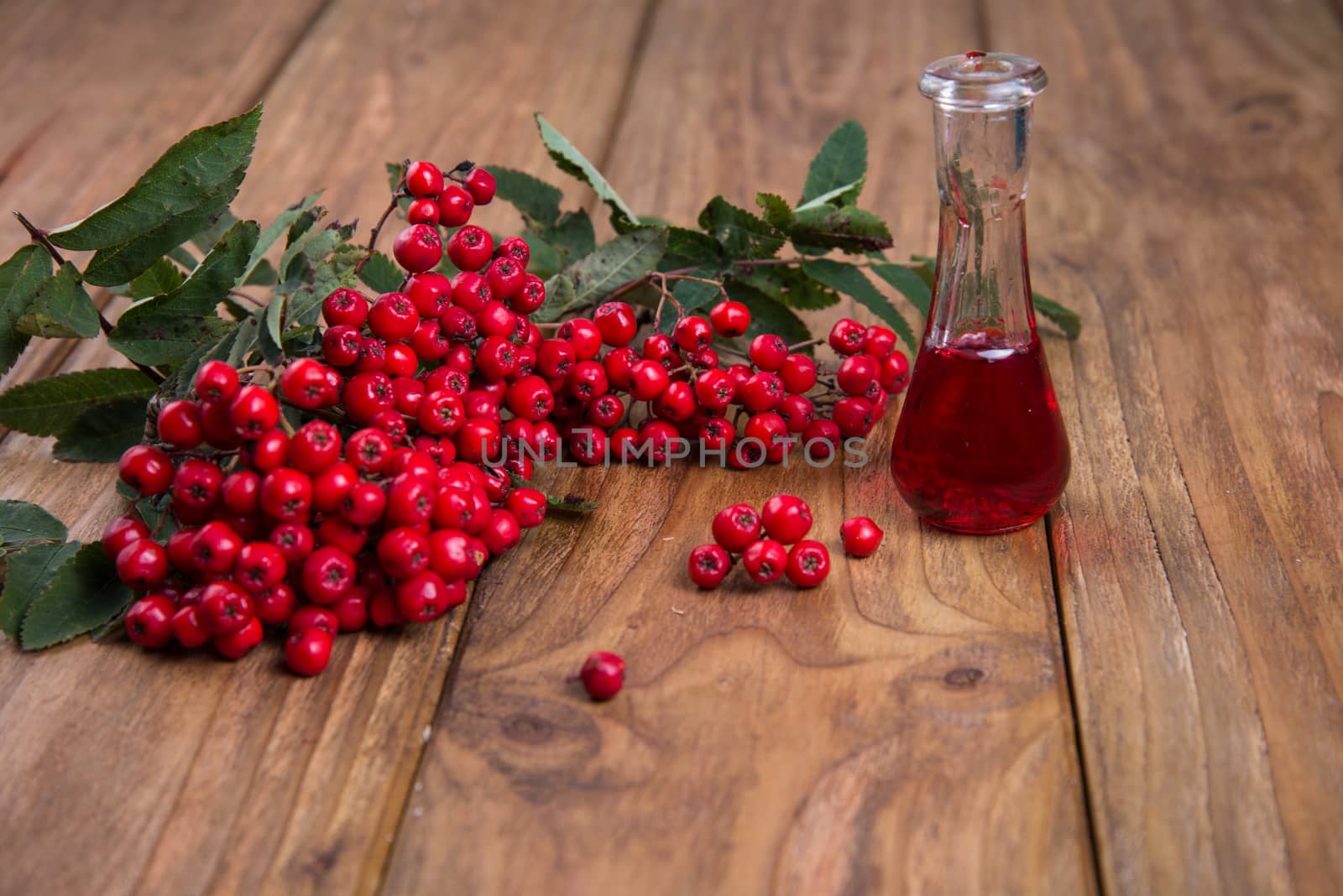 rowanberries on wooden table