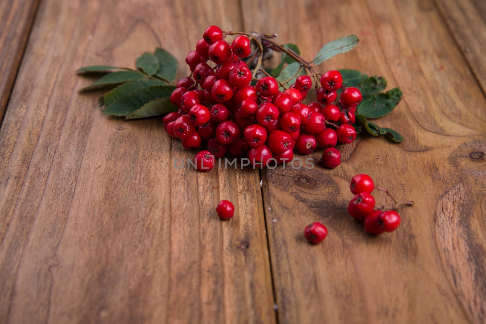 rowanberries on wooden table