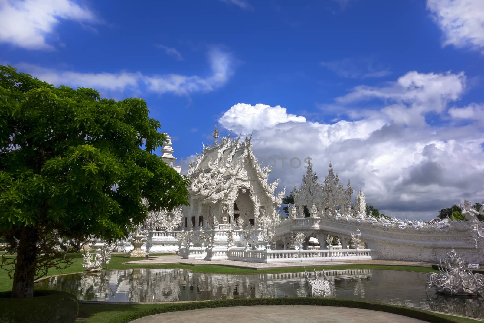 White Temple and Tree. Contemporary unconventional Buddhist temple in Chiang Rai, Thailand.