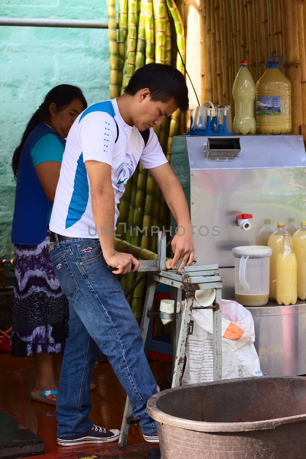 BANOS, ECUADOR - FEBRUARY 26, 2014: Unidentified young man cutting fresh sugar cane, which is either being eaten fresh or squeezed as juice, on February 26, 2014 in Banos, Ecuador. In Banos, there are many stands offering fresh sugar cane,  its juice or candy called Melcocha made from it.