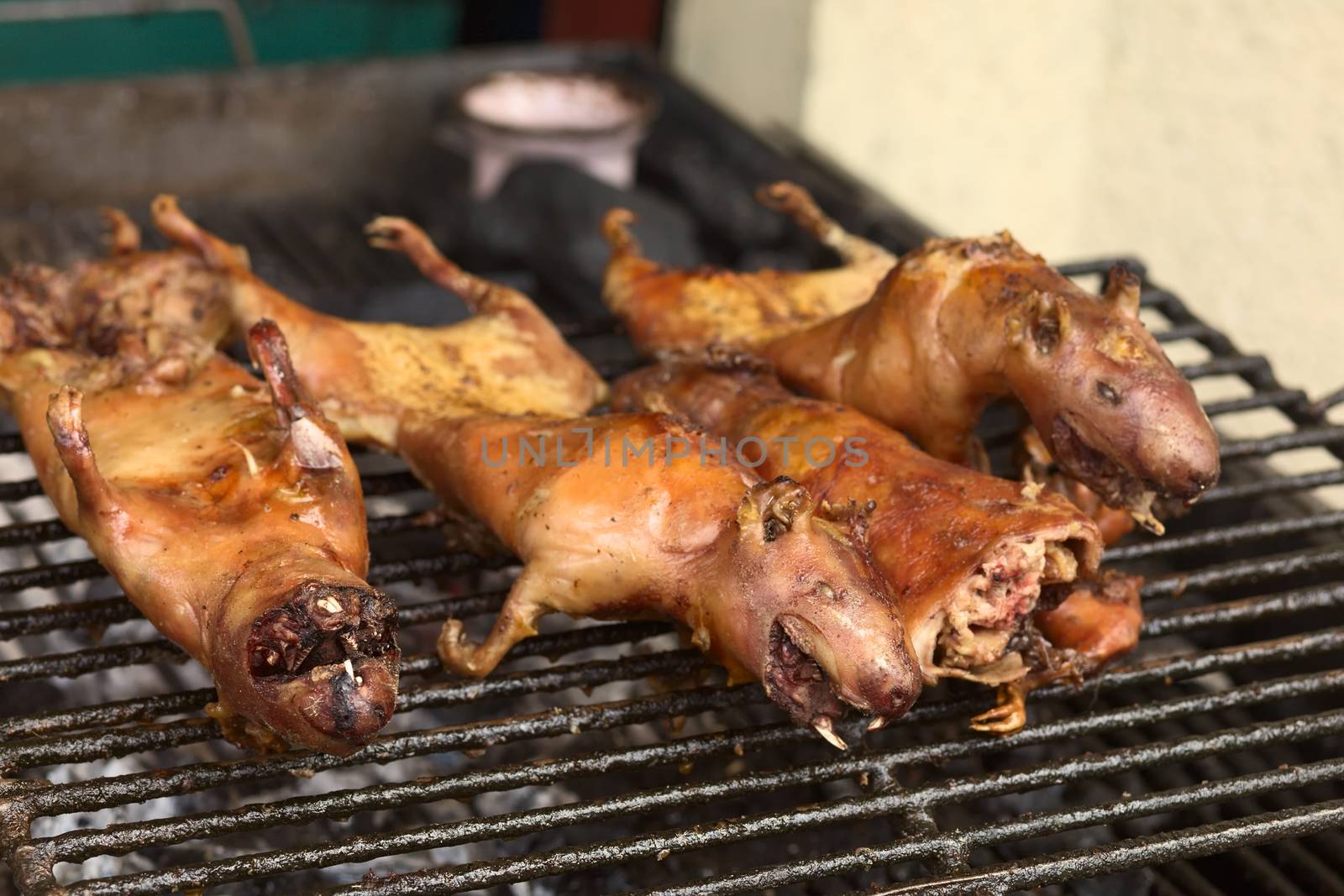 Barbecued Guinea Pig for Sale in Banos, Ecuador by ildi