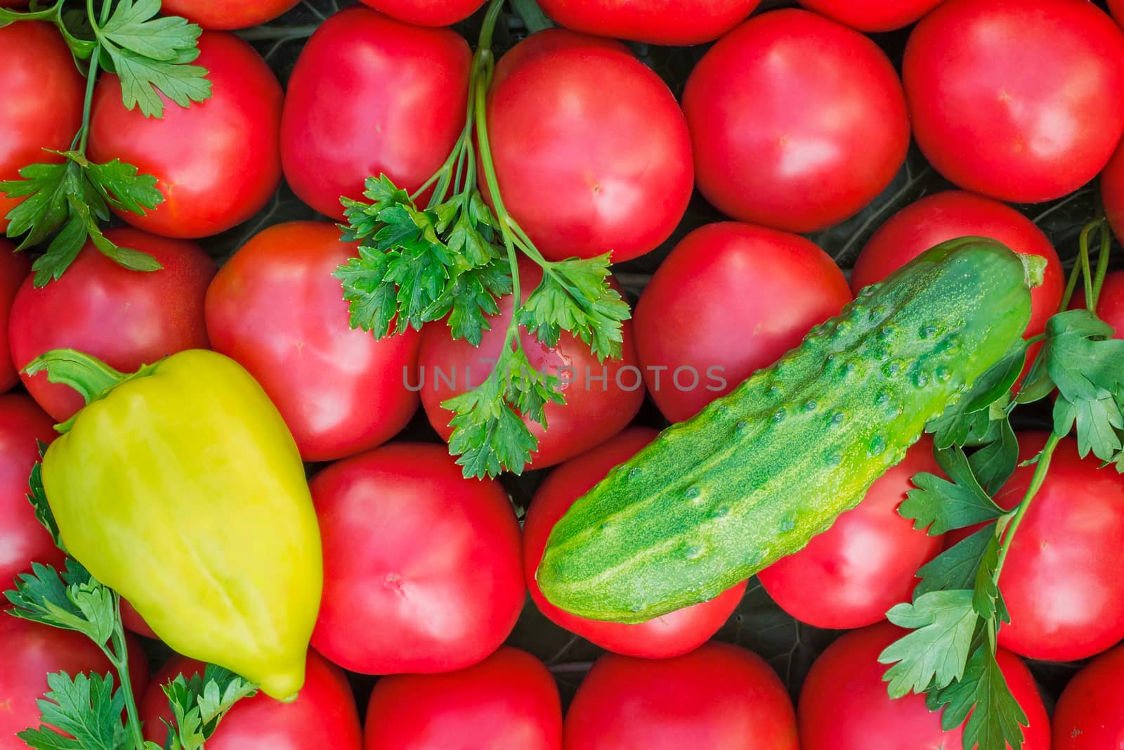 A large number mature bright red tomato, pepper, cucumbers lie on a shop show-window