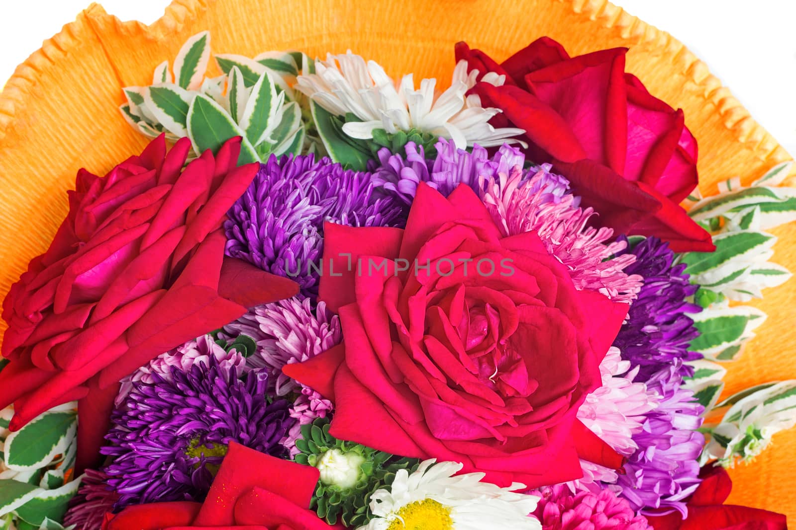 Beautiful bouquet from red roses, camomiles, blue asters in decorative registration. It is presented on a white background.