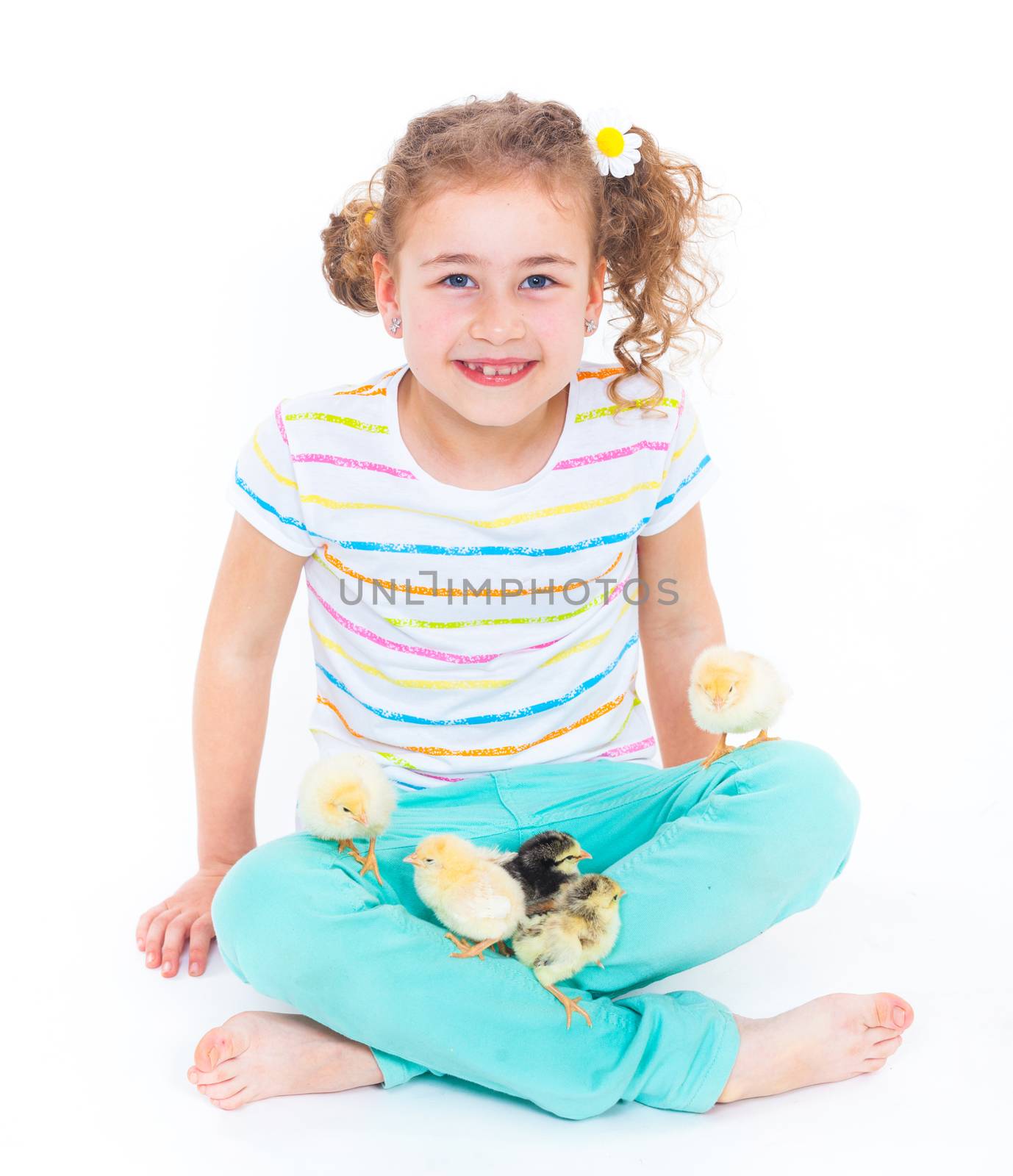 Happy little girl holding baby chickens - isolated white background