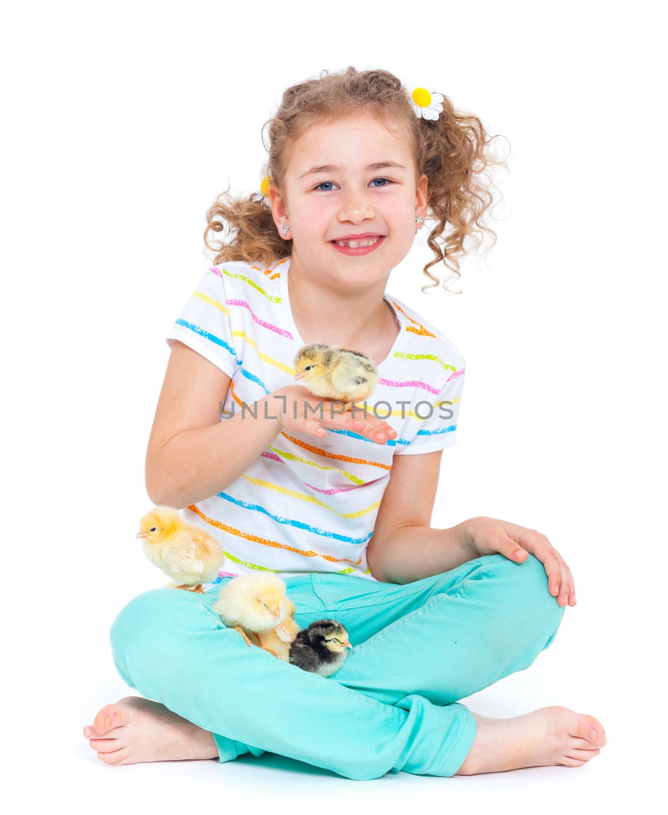 Happy little girl holding baby chickens - isolated white background