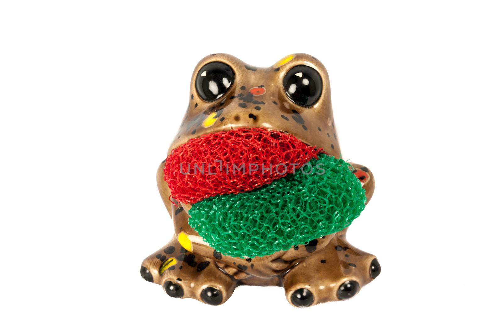 Brown Frog That Serves As A Dish Scrubber  Pad Isolated On A White Background