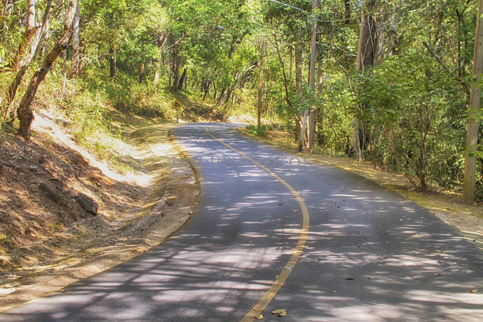 empty road in jungle summer season in thailand