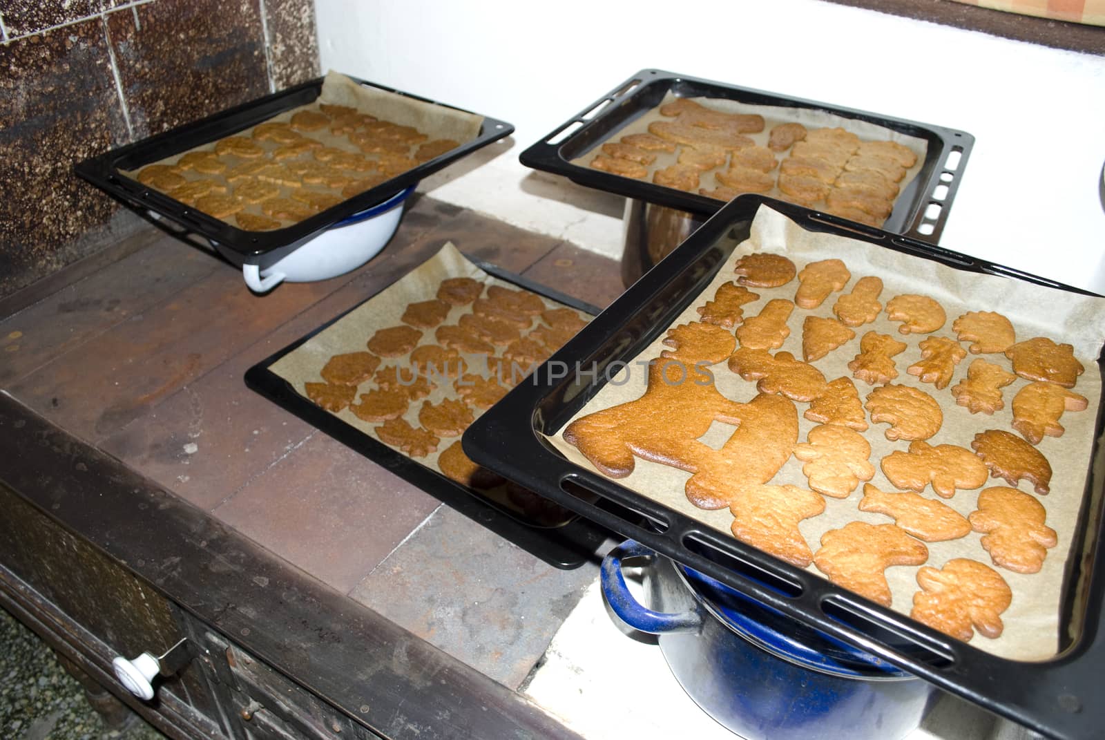 baking of christmas gingerbreads
