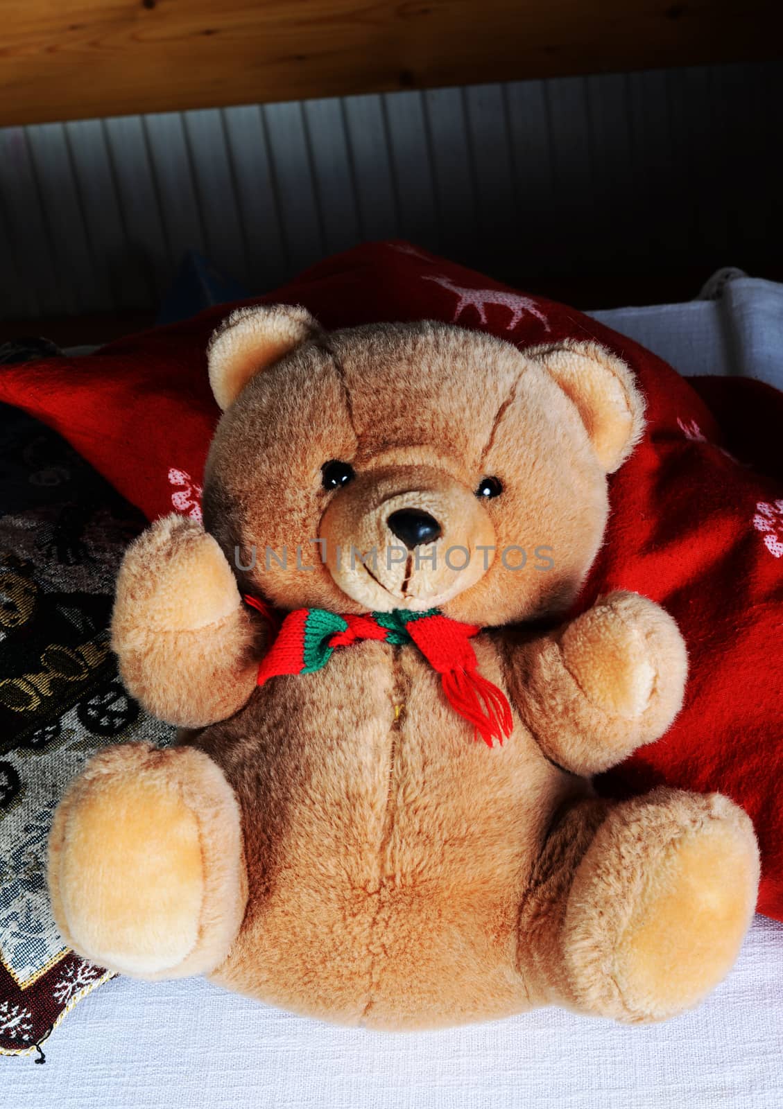 teddy bear