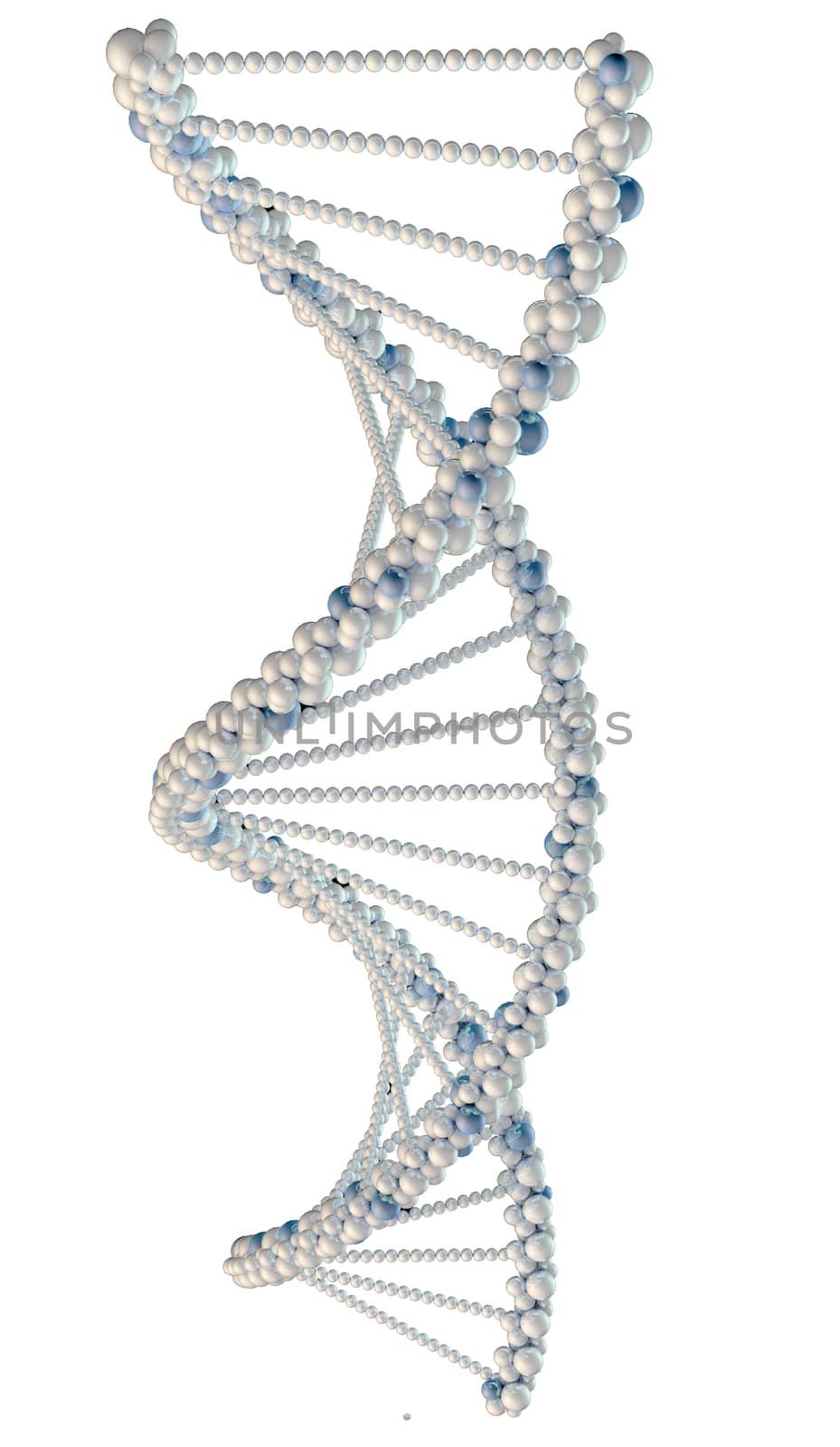 Illustration of white DNA chain. Isolated background