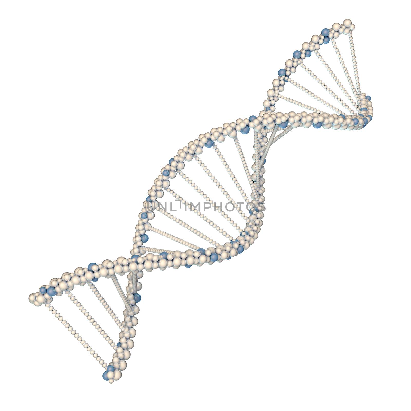 DNA molecules by cherezoff