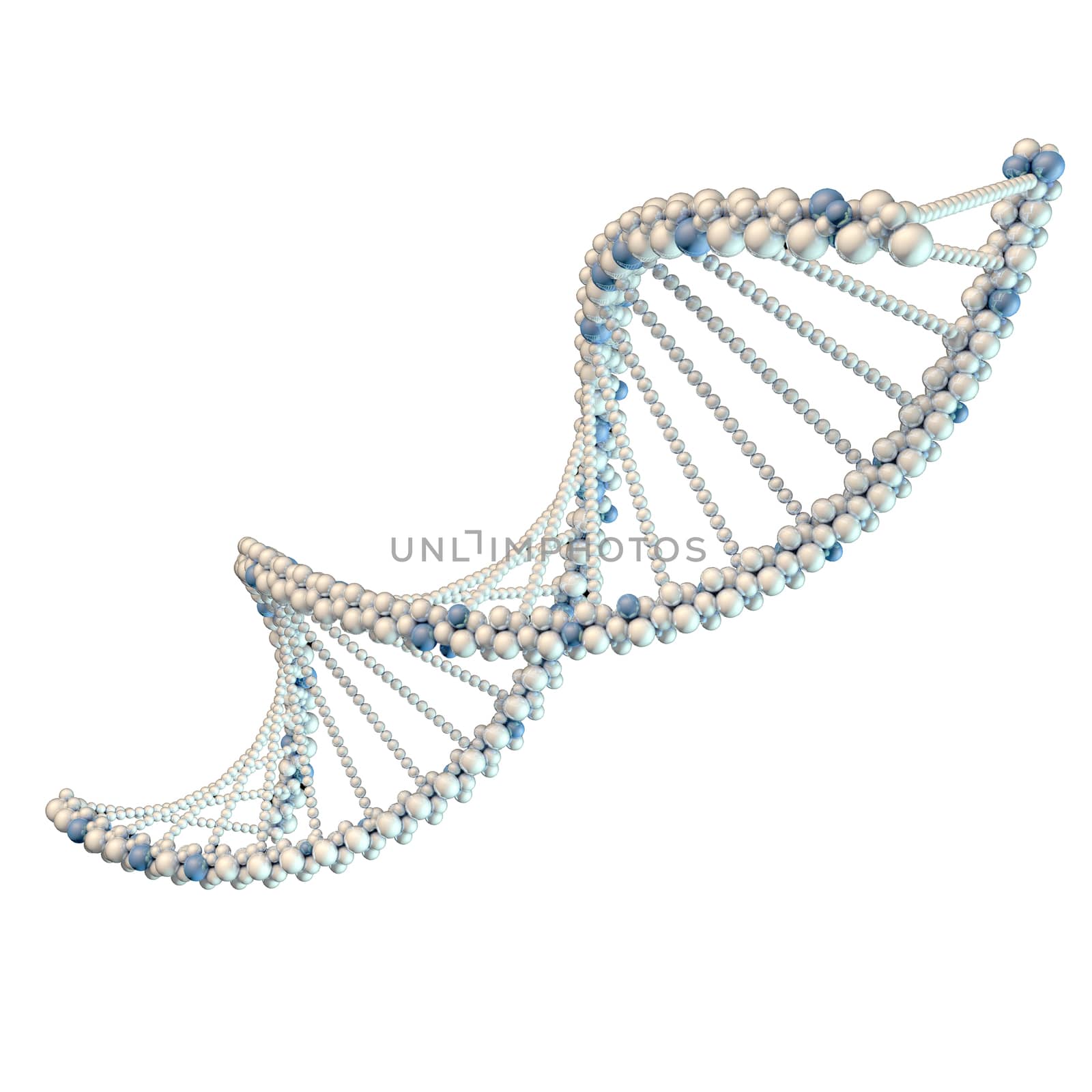 Illustration of white DNA chain by cherezoff