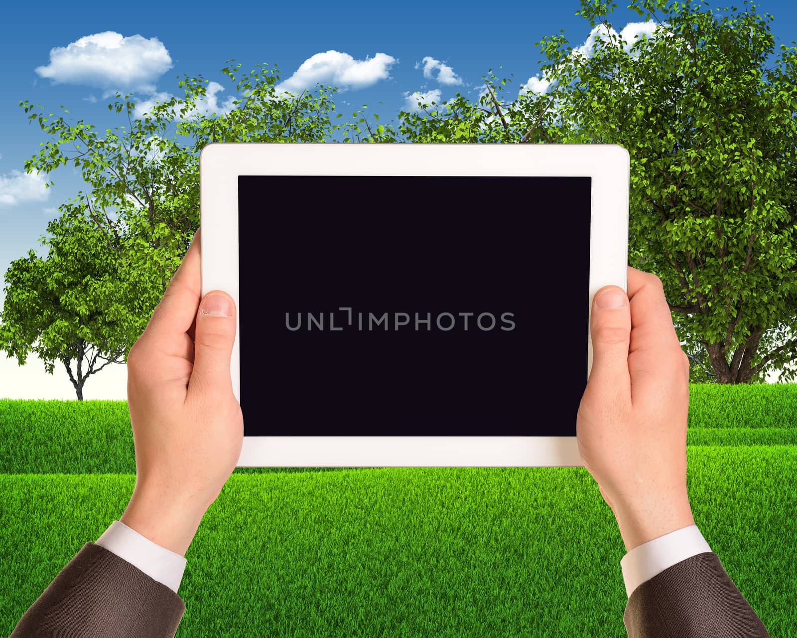 Digital tablet in hands with grass field and trees as backdrop. Empty screen