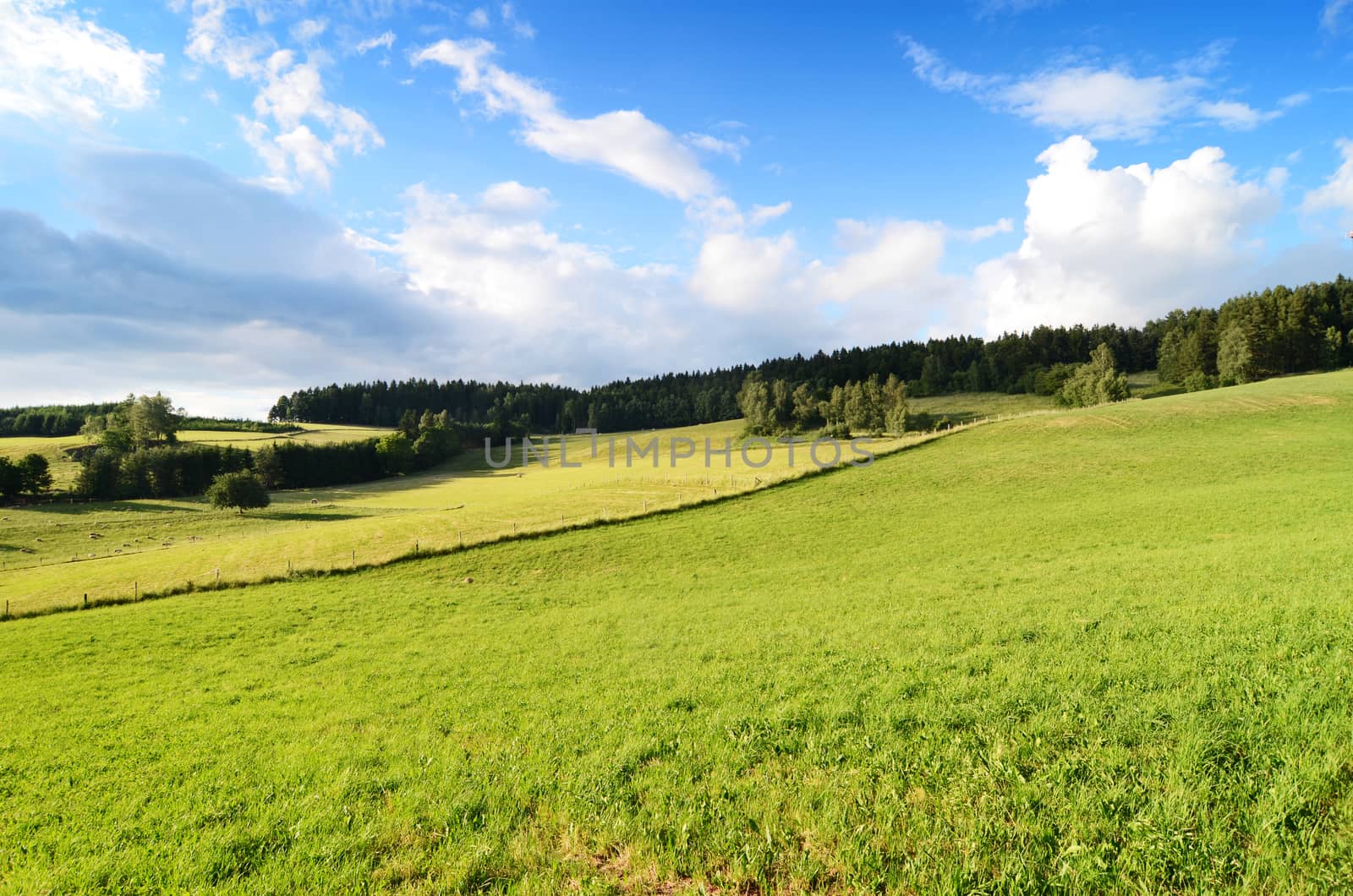 landscape