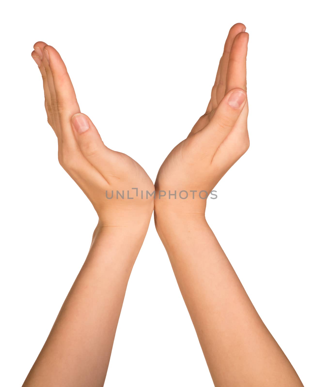 The open hands of a young woman. Isolated on white background