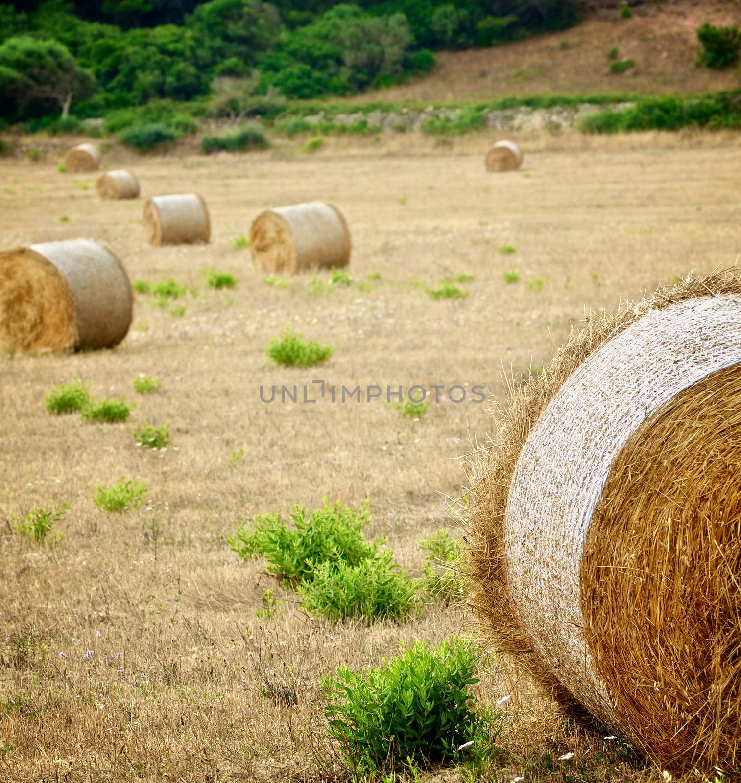 Straw Bales by zhekos