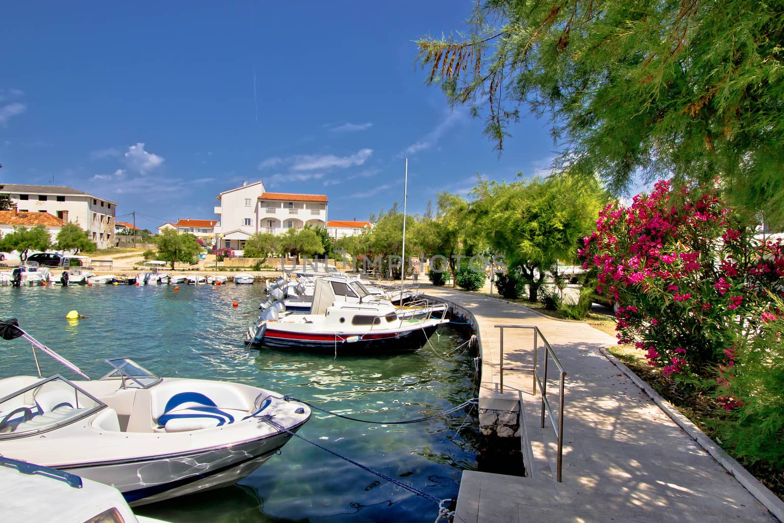 Harbor of adriatic village Petrcane, Dalmatia, Croatia