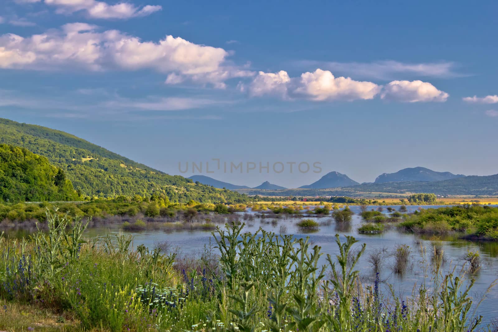 Field of Krbava in Lika region od Croatia