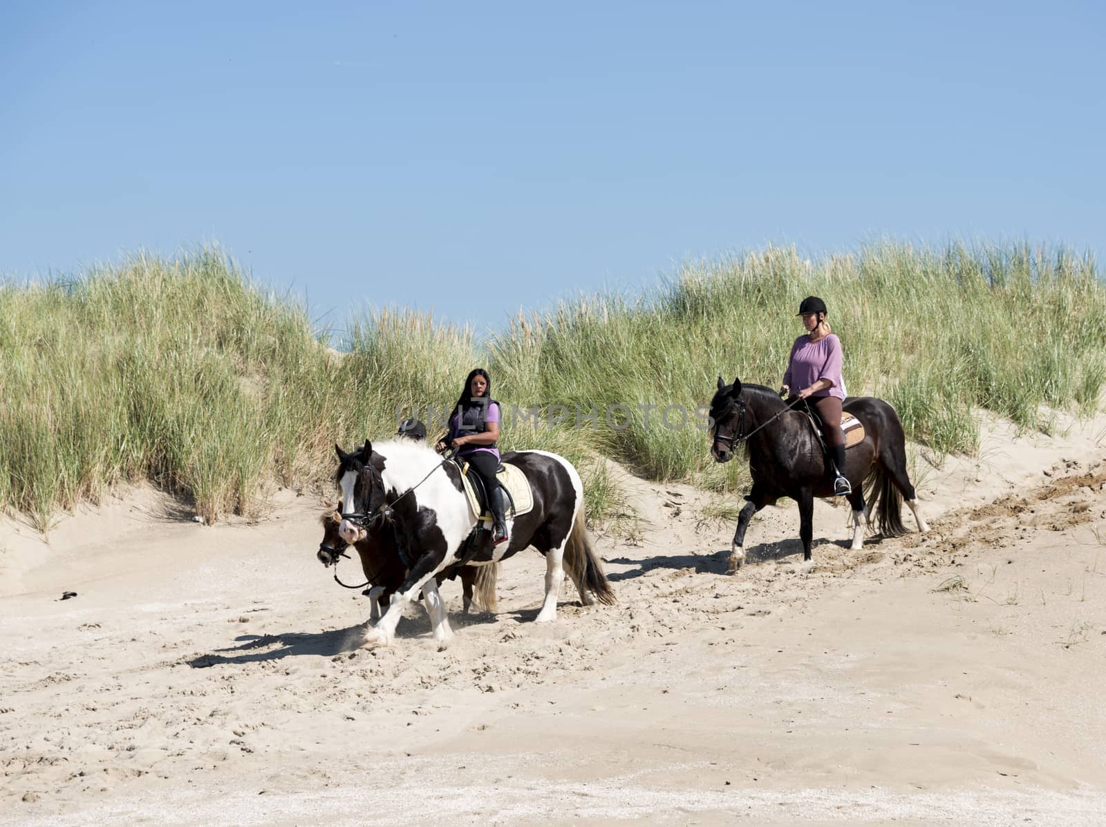HELLEVOETSLUIS,NETHERLANDS - AUG 27: Two girls riding on horse on the beach in, on June 28,2014 in Hellevoetsluis, this beach is a free riding beach for horses